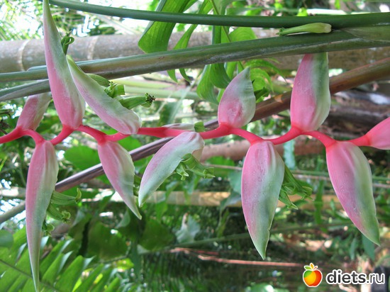 73 ����: ����...