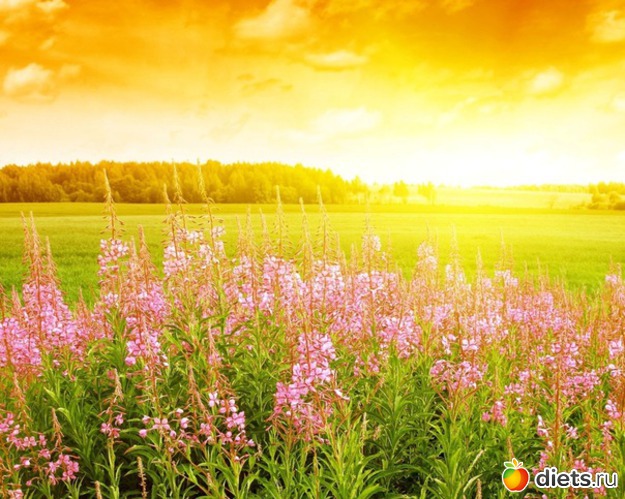 76 ����: ����...