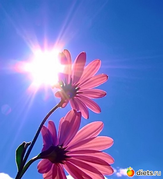 77 ����: ����...