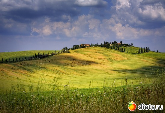 78 ����: ����...