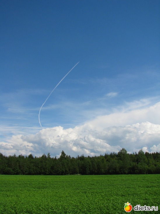 79 ����: ����...