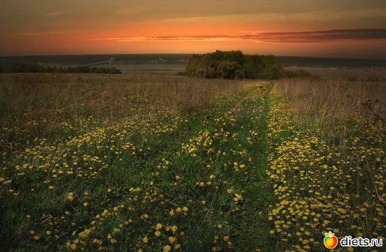 81 ����: ����...