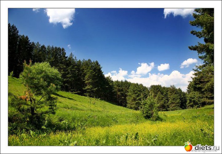 82 ����: ����...