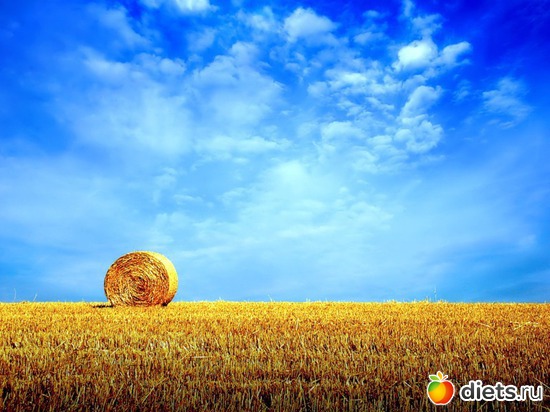 83 ����: ����...