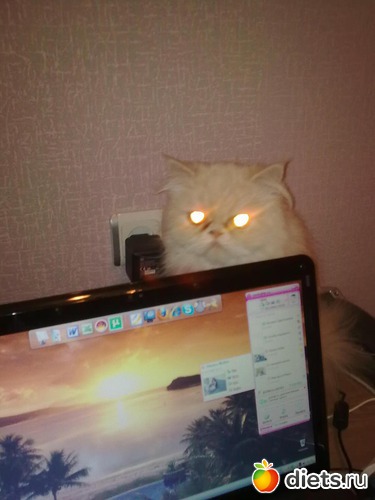 5 ����: ��� ������� ������