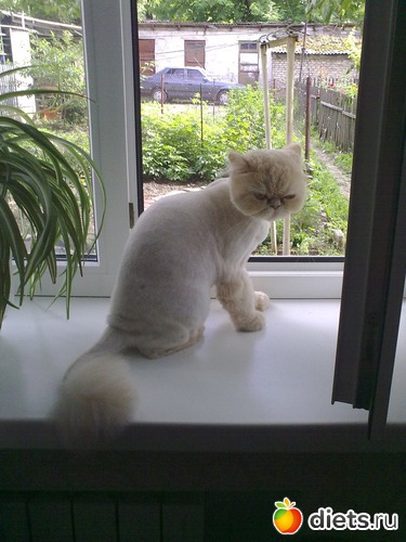 ��� ����������, ������: ��� ������� ������