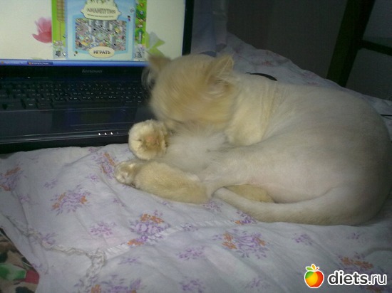 8 ����: ��� ������� ������