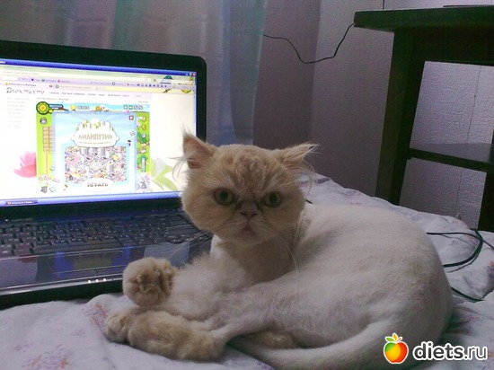 9 ����: ��� ������� ������