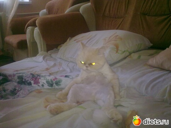 ������� �������, ��������� �� ���������, ������: ��� ������� ������