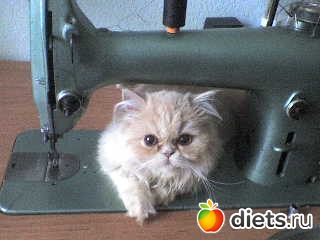 ��� ������� ������