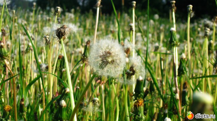 86 ����: ����...