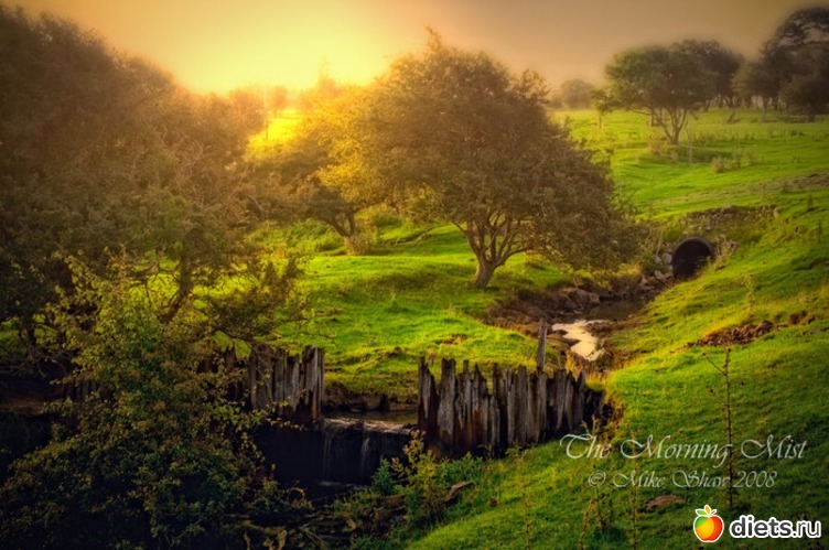 87 ����: ����...