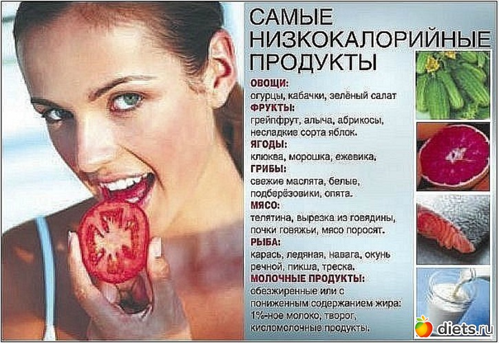 48 ����: ����������