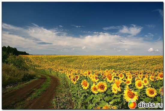 88 ����: ����...