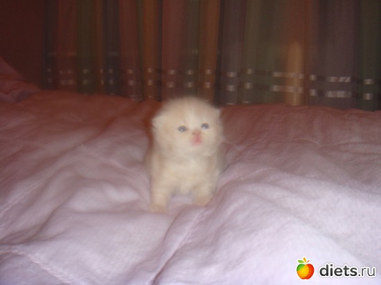 12 ����: ��� ������� ������