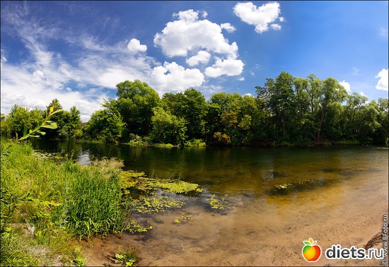 89 ����: ����...