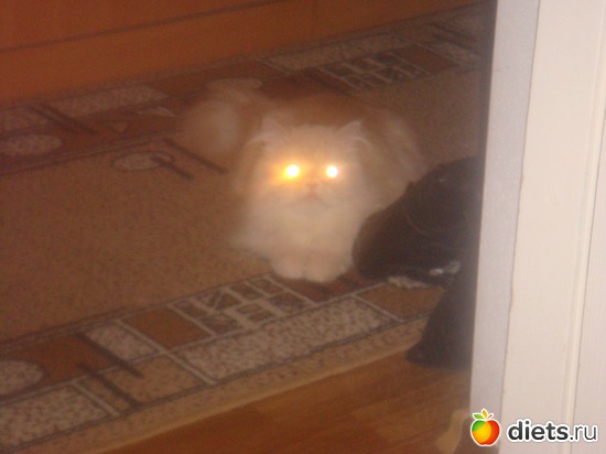 13 ����: ��� ������� ������