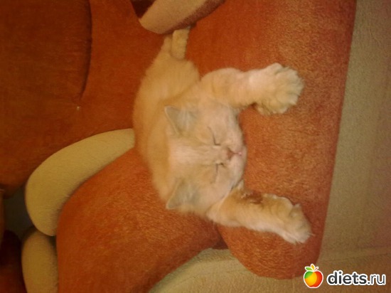 ��� ��� ������... ����� �������� ����..., ������: ��� ������� ������