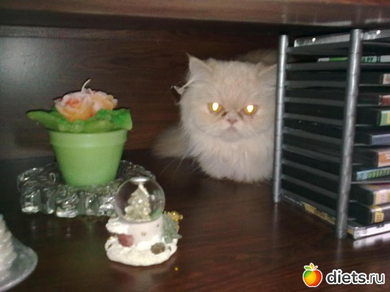 17 ����: ��� ������� ������