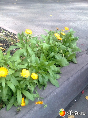 28 ��������...������� ��������..., ������: ����� �������...