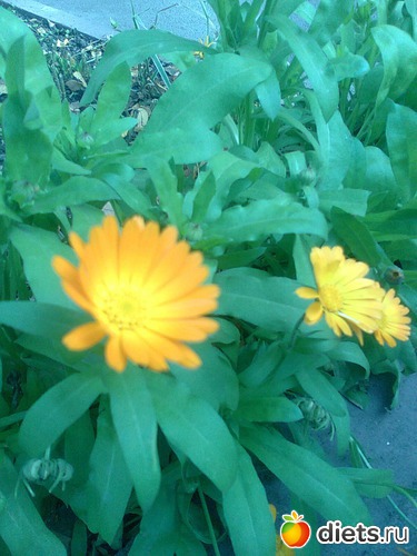 28 ��������...�������, ������: ����� �������...