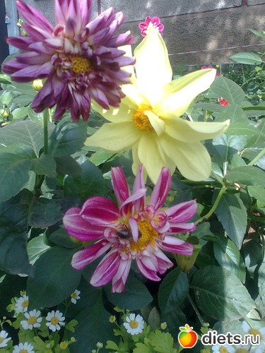 28 ��������...������� �����, ������: ����� �������...