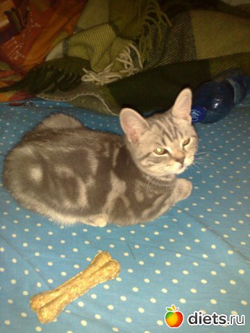 ��� ��� ����