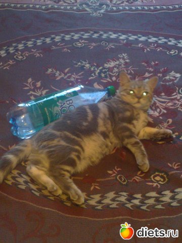 ������� 8 ������� � �� ������� ������. ������� 2���������.