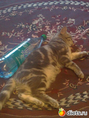 ��� ��� ����