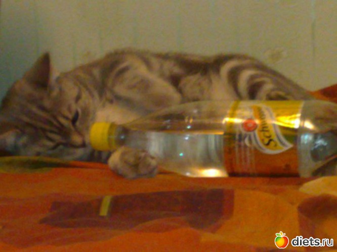 ������� ������� �������..., ������: ��� ��� ����