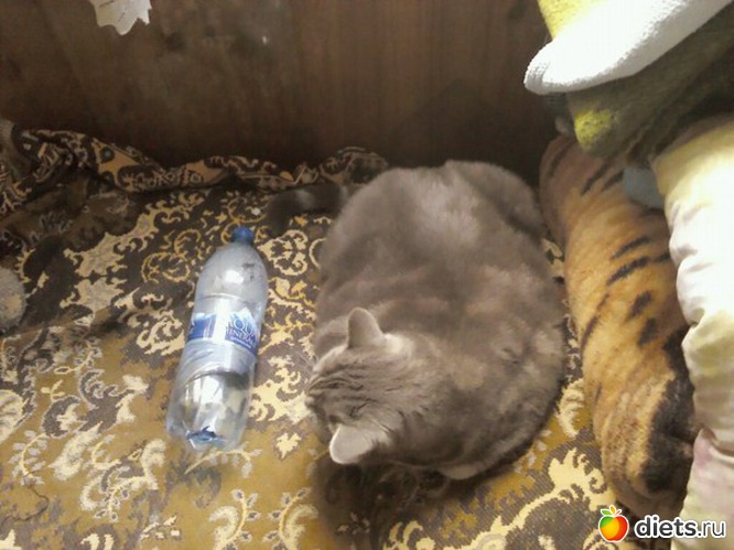 ��������� ����������, ������, ������: ��� ��� ����