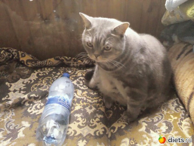 16 ����: ��� ��� ����