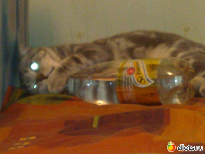 18 ����: ��� ��� ����