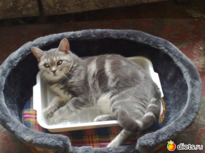 20 ����: ��� ��� ����