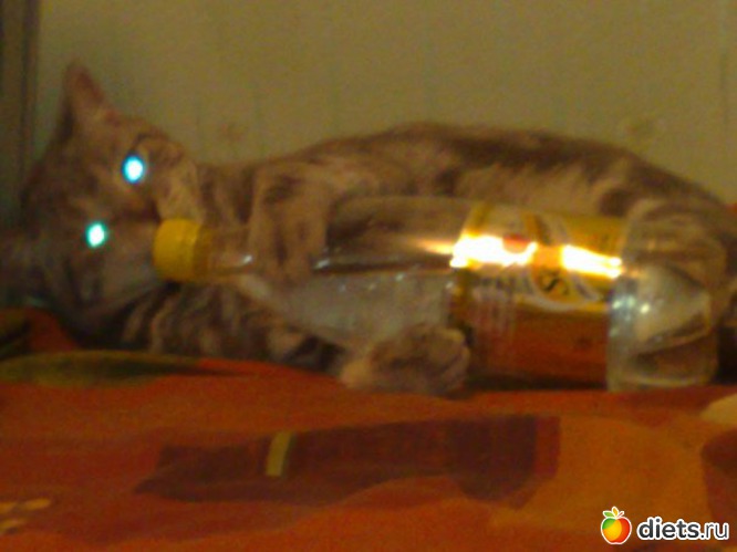 22 ����: ��� ��� ����