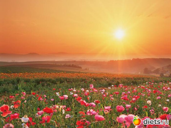 99 ����: ����...