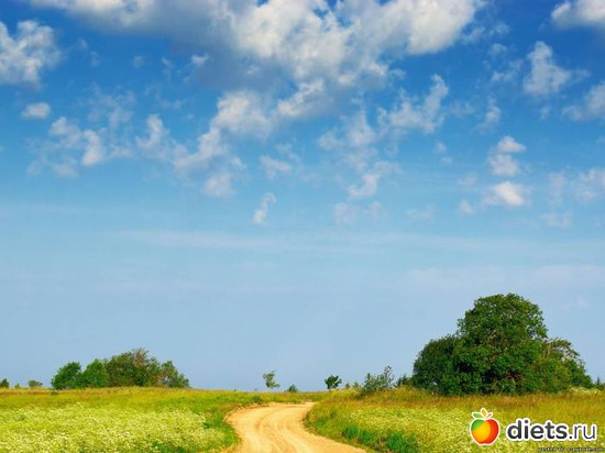 101 ����: ����...