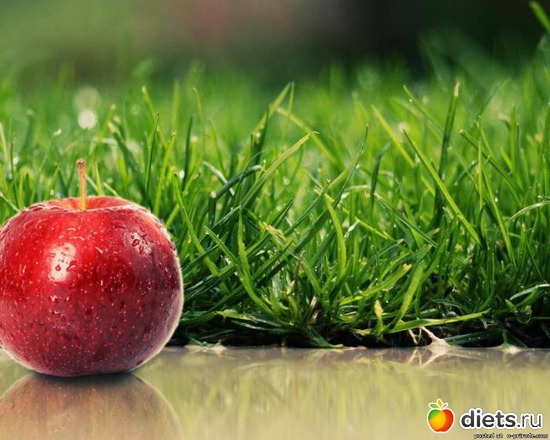 102 ����: ����...