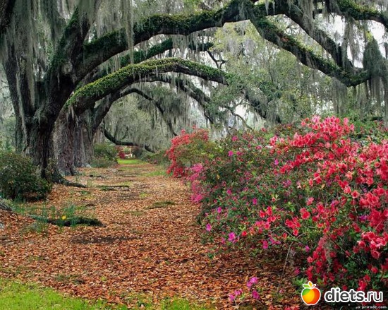 103 ����: ����...