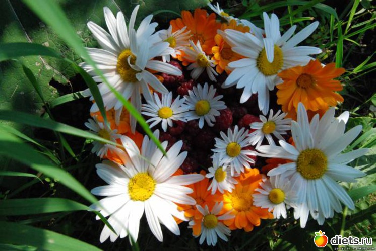 104 ����: ����...