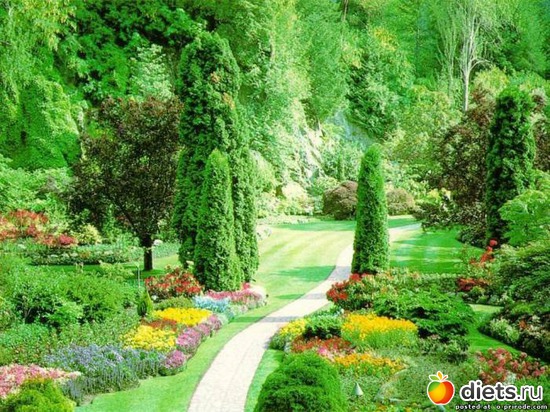 105 ����: ����...