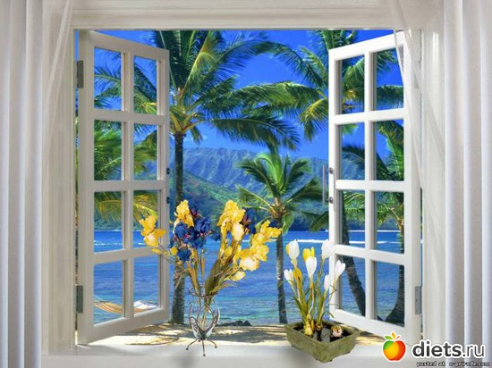 106 ����: ����...