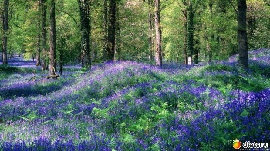 107 ����: ����...