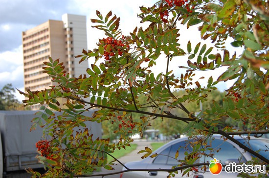 ��������� ����......., ������: �����