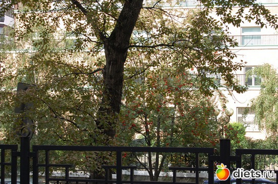 3 ����: �����