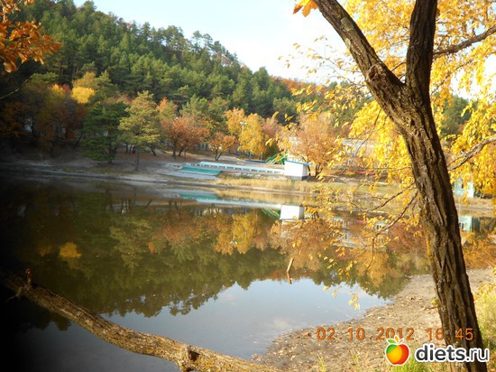 6 ����: �����