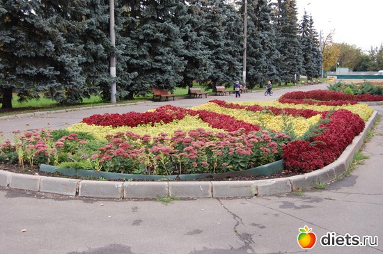 5 ����: �����