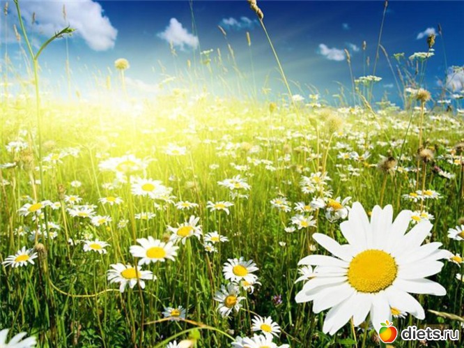 91 ����: ����...