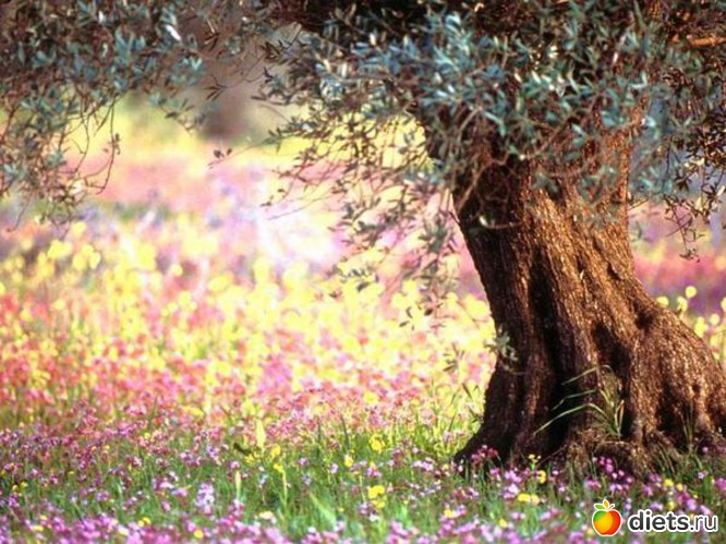 93 ����: ����...