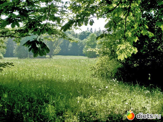 95 ����: ����...